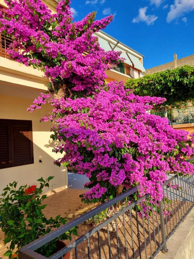 Apartment Ruza Podgora